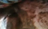Solo scat licking