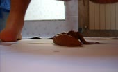 Amateur teen smearing poop on her perky tits
