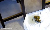 Smoking hot Black girl pooping on two chairs