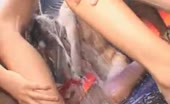 Playing with her nipples while eating poop