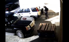 Woman Caught on CCTV Taking a Dump