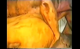 Two German Babes and a Man Have a Kinky Scat Orgy