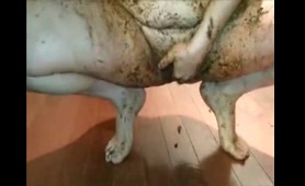 Lady Shits and Gets a Golden Shower