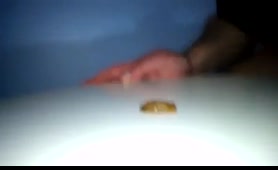 Woman Shits in the Toilet