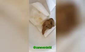 Hottie Shits a Nasty Brown Load