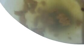 Naughty Dump Caught on Camera