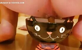 Babe Craps on Black Cat Bowl